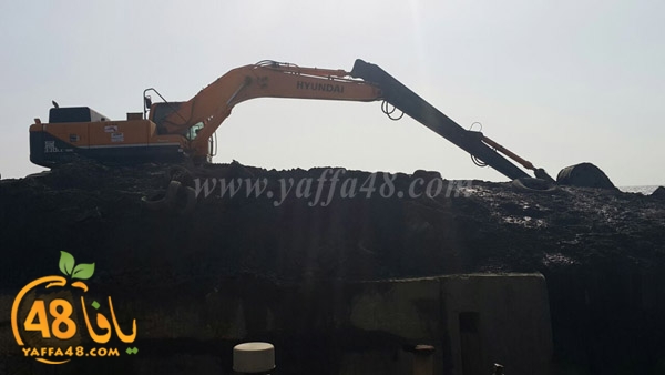 mina2 tandeefat3 (4).jpg